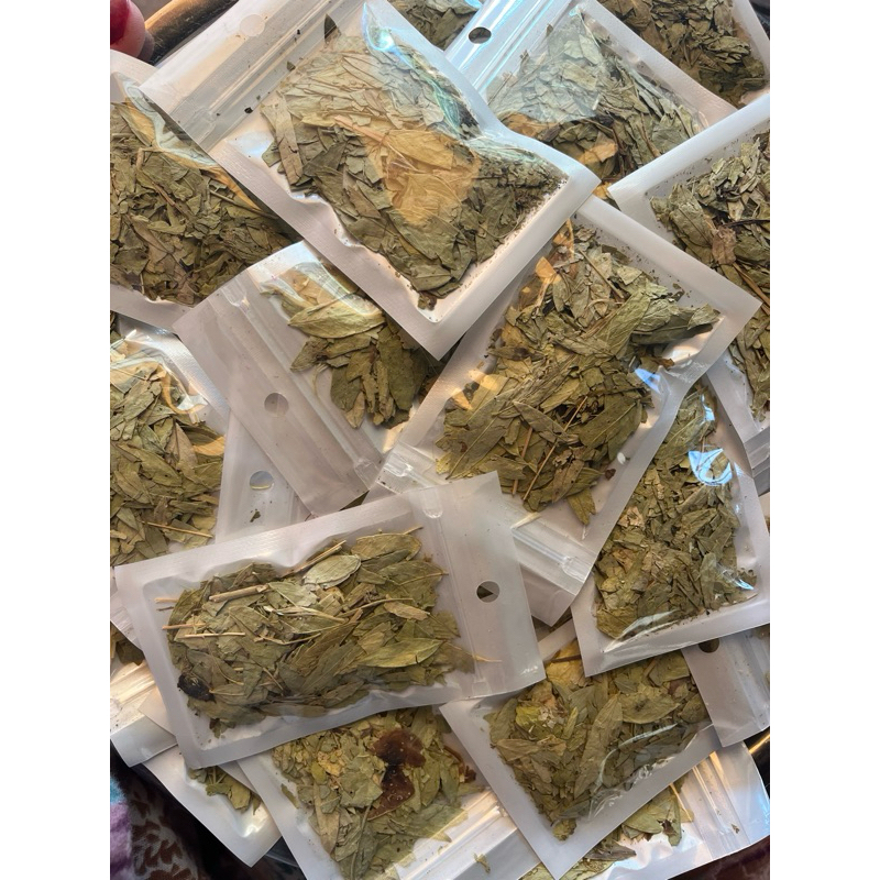 

TERMURAH 10pcs TEH JATI CINA PELANGSING ALAMI