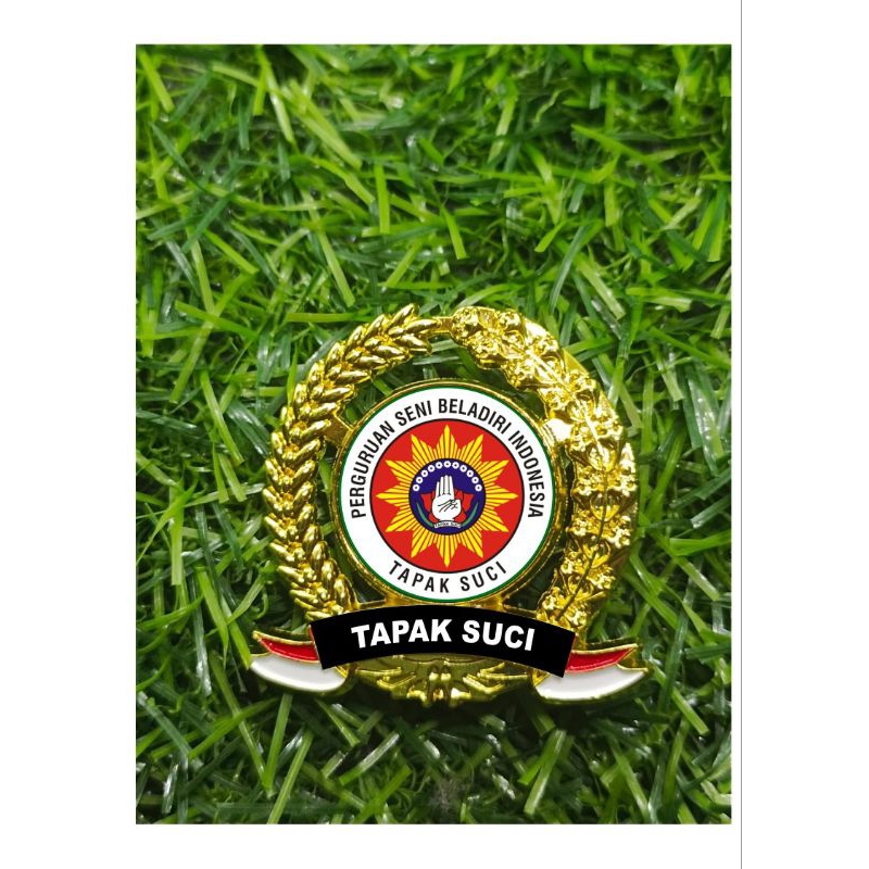 Pin padikapas Tapak Suci