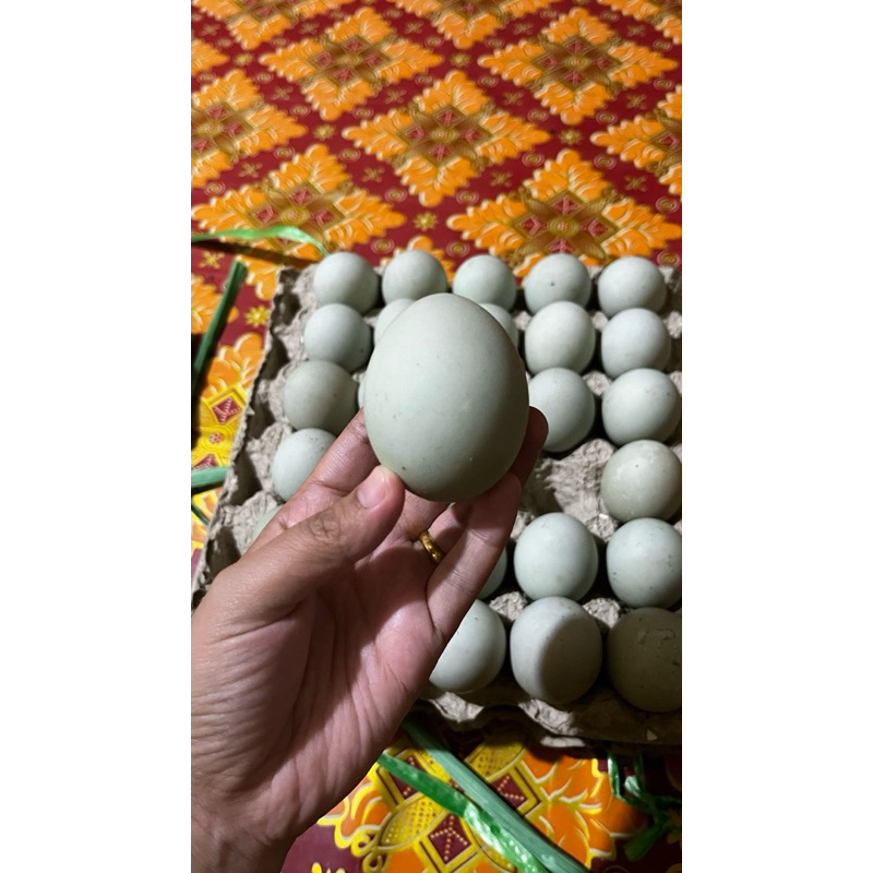 

Telur Itik Aluh aluh