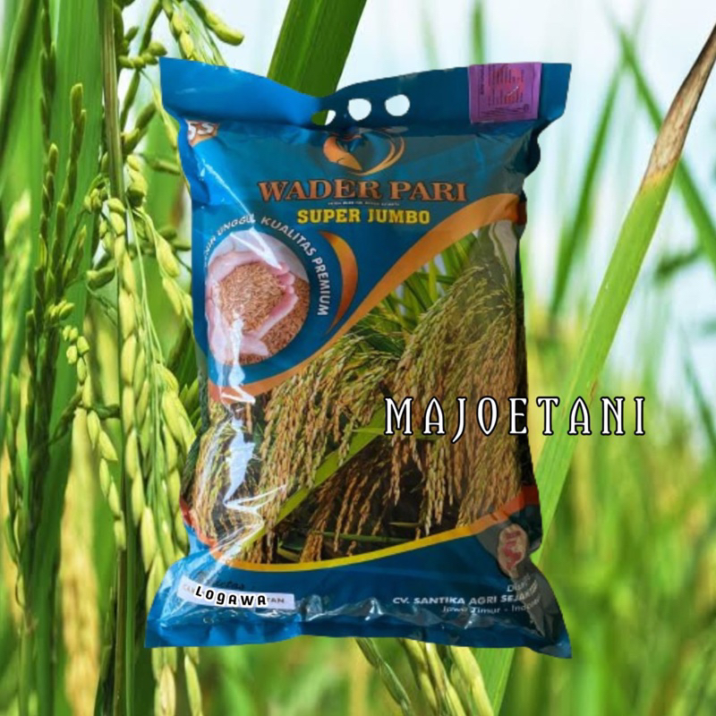 Benih padi Logawa 5kg