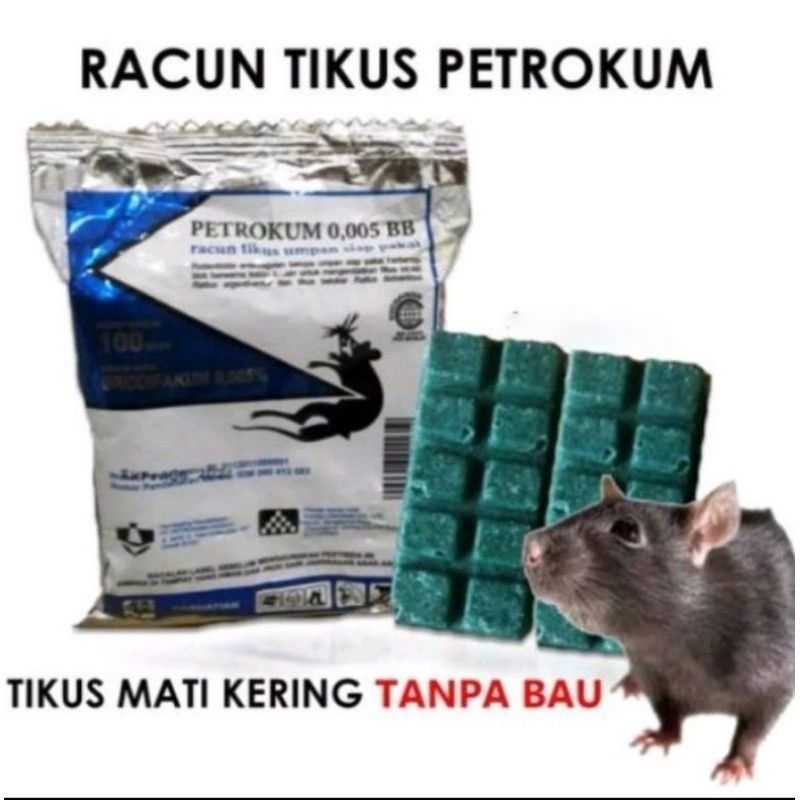 Petrokum Racun Tikus Mati Kering Tanpa Bau