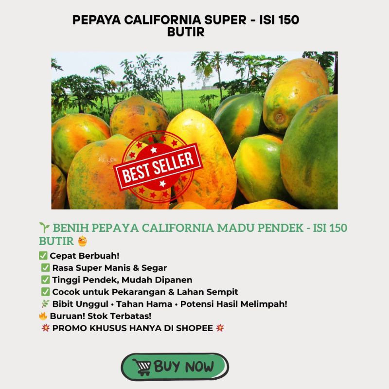 "Bibit Pepaya California Madu Pendek Isi 150"