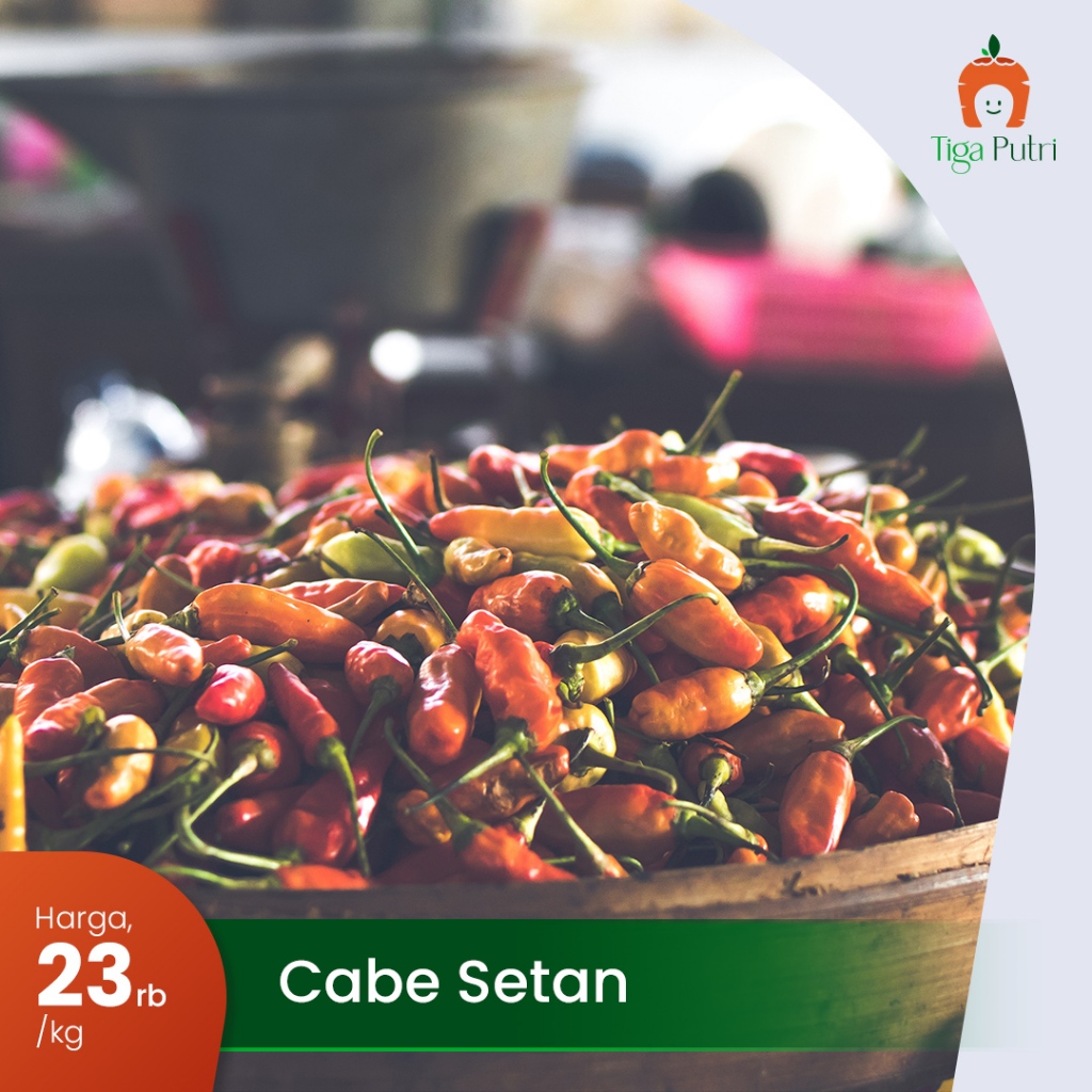 

Cabai Setan Super Pedas 1kg / 500gram