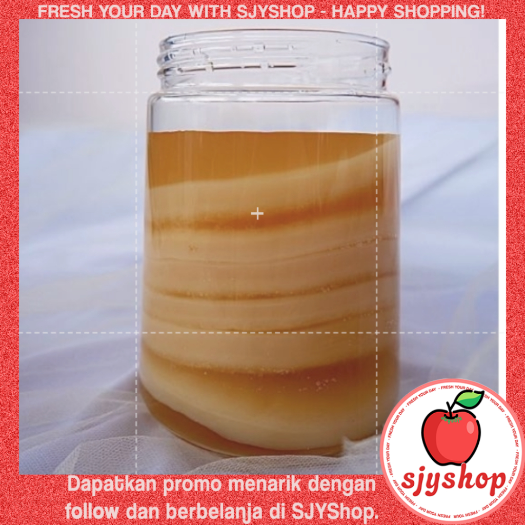 

Bibit Scoby Kombucha Jumbo / Starter Jamur Kombucha / Teh Kombucha Ready To Drink Berkhasiat