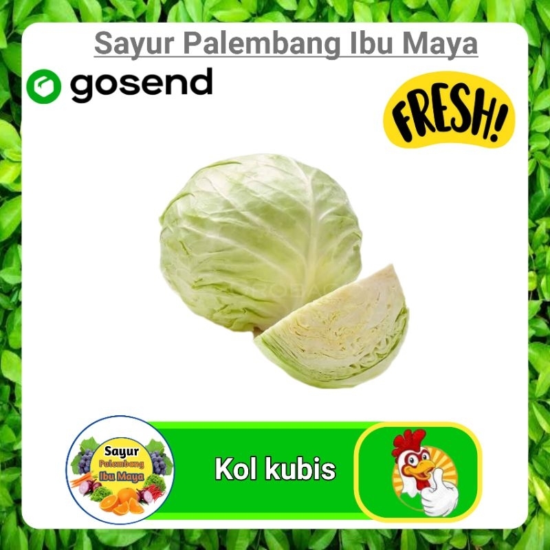 

Sayur Kubis Kol 500 Gram - Sayur Sayuran Segar Fresh Online Palembang