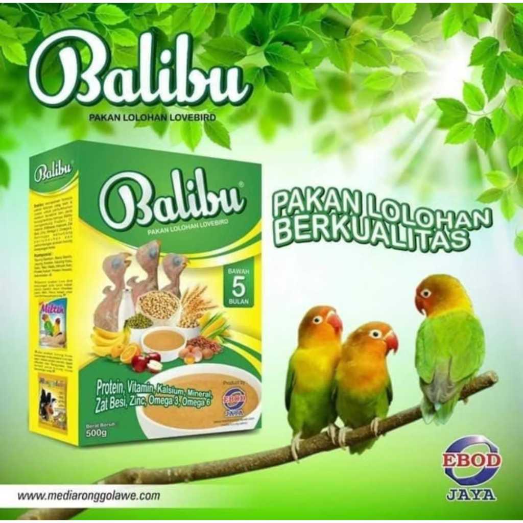 Bubur Balibu Lolohan Untuk Anakan Burung Love Bird Falk Parkit Kenari