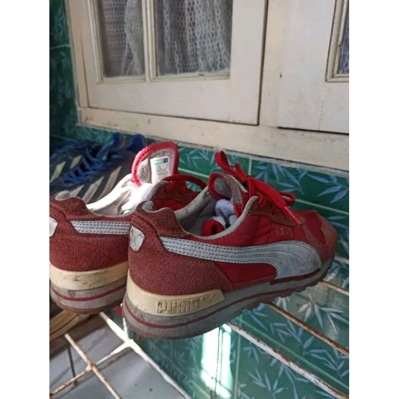 Puma TX-3