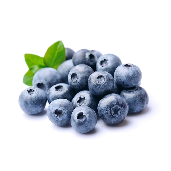 Tanaman Blueberry