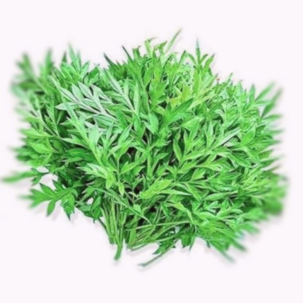 

Daun Kenikir 1 ikat +- 100 gr