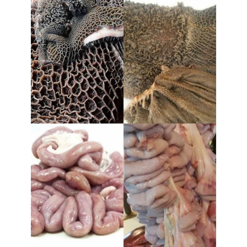 Babat sapi + Usus sapi mantul 500-1kg