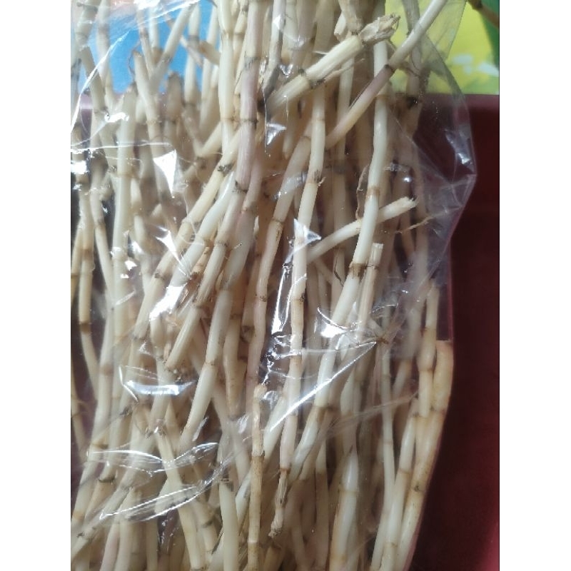 

Herbal Akar Alang Alang