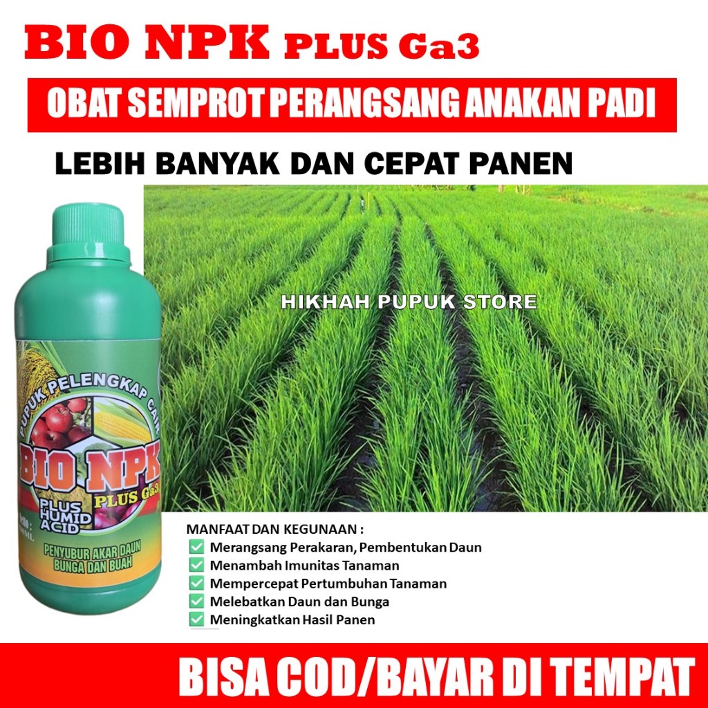 (100% ASLI) Pupuk Ajaib PERBANYAK ANAKAN PADI - NPK GAZA GROW 500 ML Panen Padi Lebih Banyak dan Bes