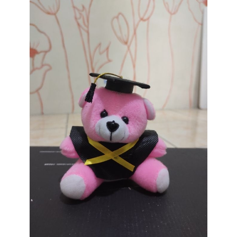 

Boneka Wisuda 12cm