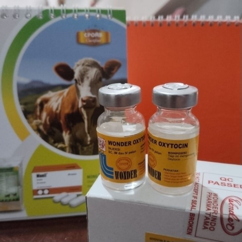 wonder intracin 10ml (pengganti intracin)