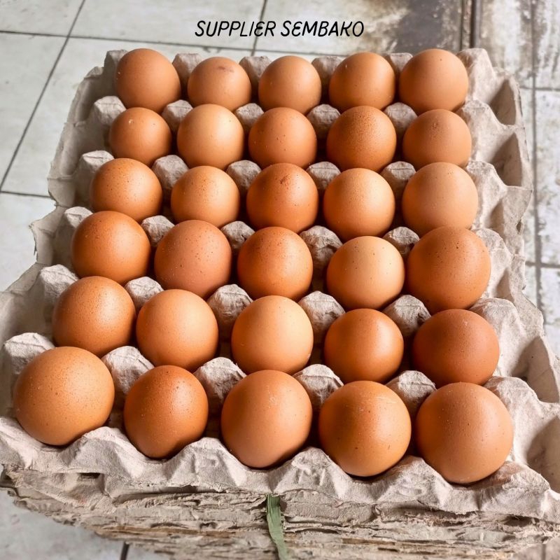 TELUR AYAM 1 TRAY FRESH