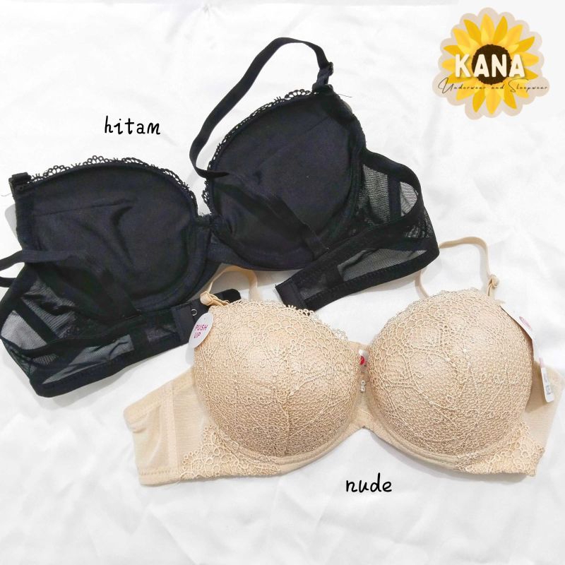 Bra BH Push-Up Bra, Busa Tebal Berkawat, Full Brukat Cup B Chelyne V911