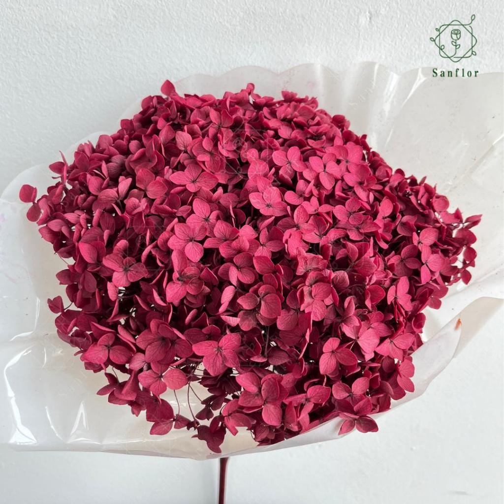 Preserved Hydrangea/Bunga Asli Kering Premium