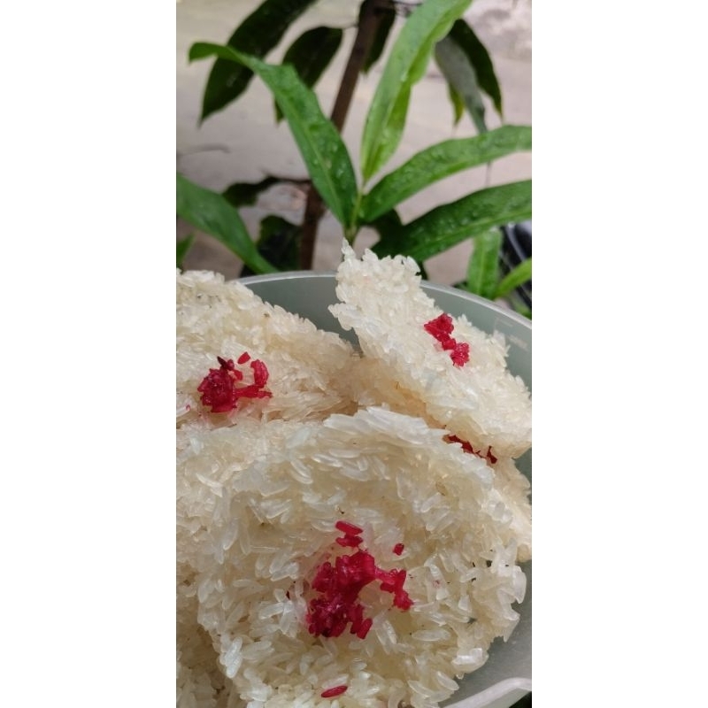 

rengginang mentah/kerupuk rengginang