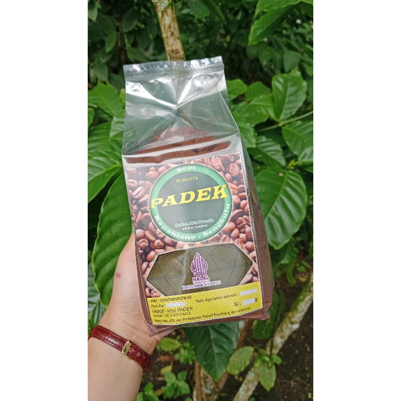 

KOPI REJANG KEPAHIANG KHAS BENGKULU