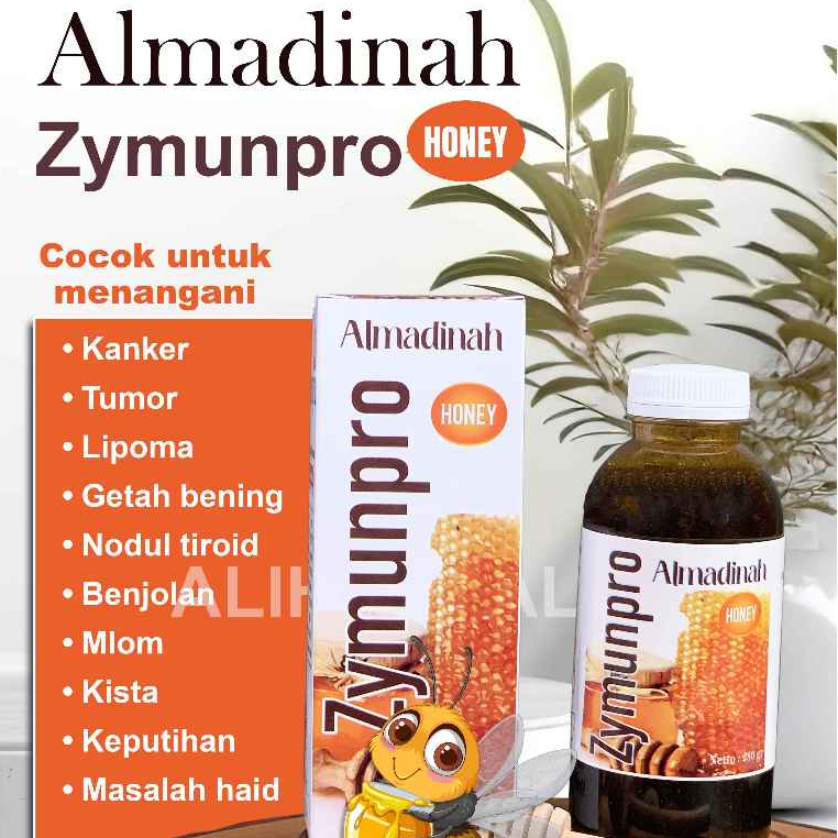 

Madu Zymunpro Almadinah