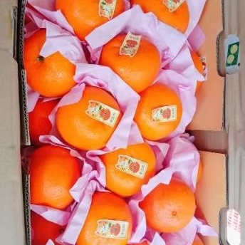 

JERUK HONEY WOGAN MANIS /kg BUAH FRESH