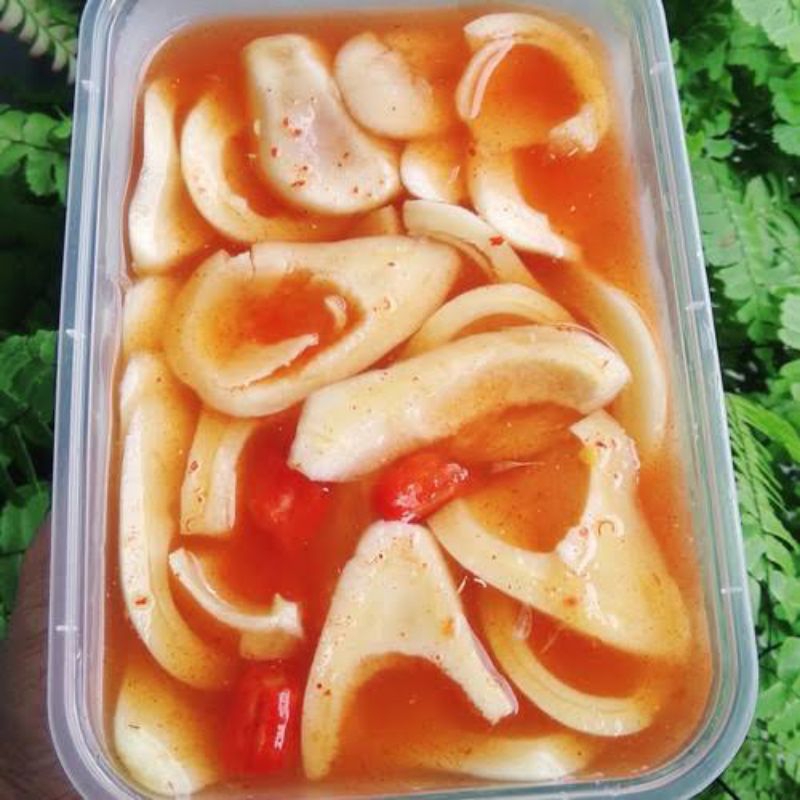 

Asinan Salak jeletot