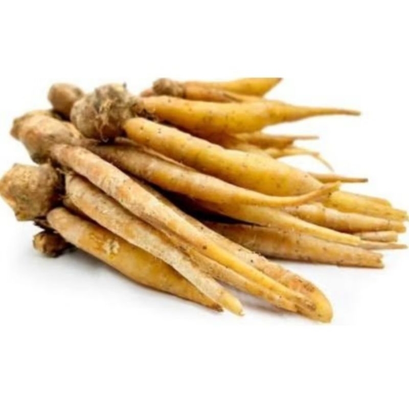

temu kunci sayur segar