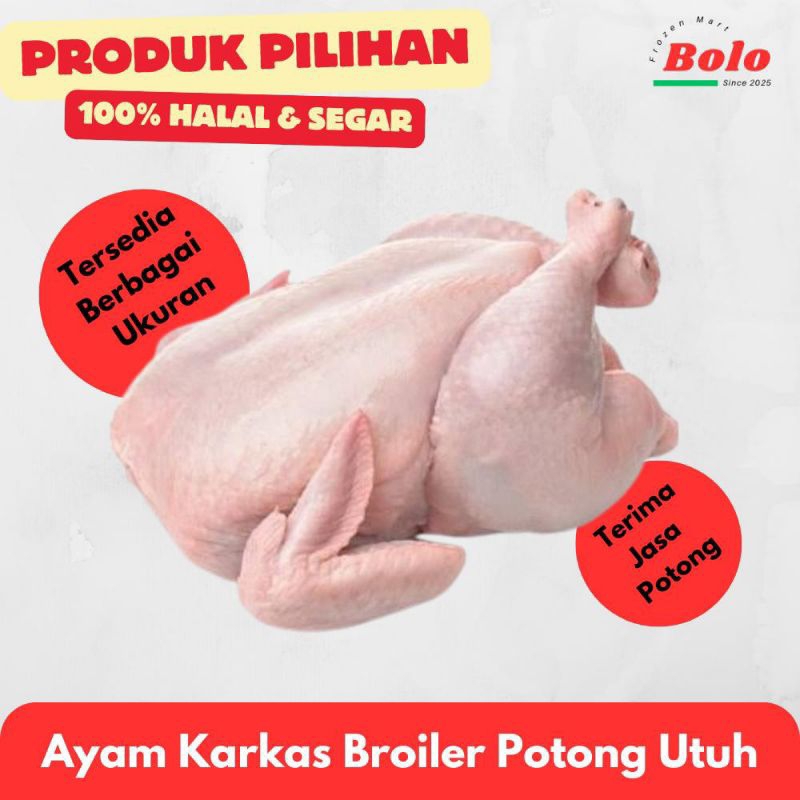 

Ayam Karkas Broiler Potong / Utuh Size 0.9/1Kg