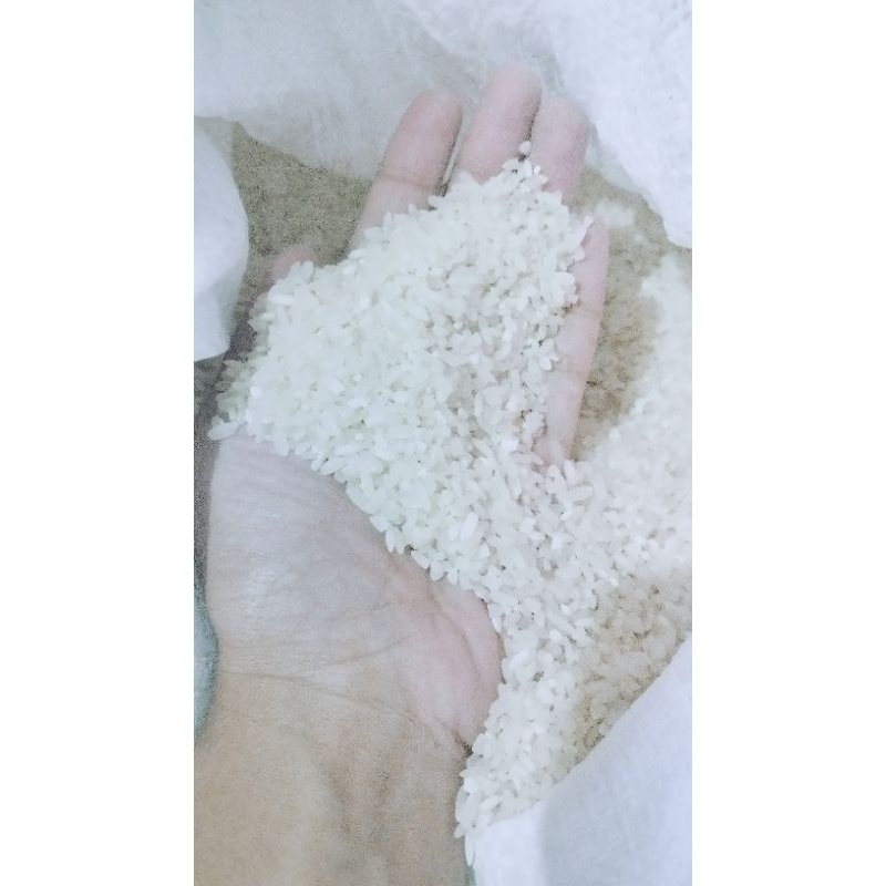 

Beras PANDAN WANGI PULEN SELEP SENDIRI HALAL 1L