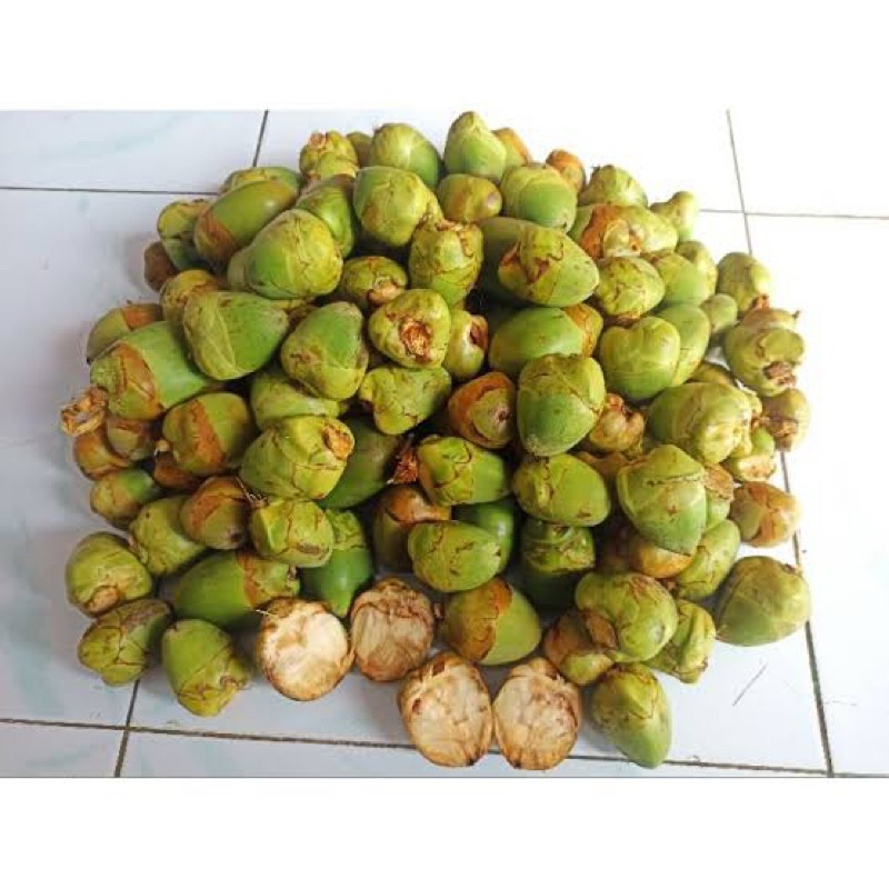 

Beluluk kelapa tembuluk kelapa segar 5 buah-az