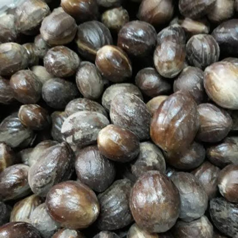 

Buah Pala Kering, Biji Pala Kering 100gr