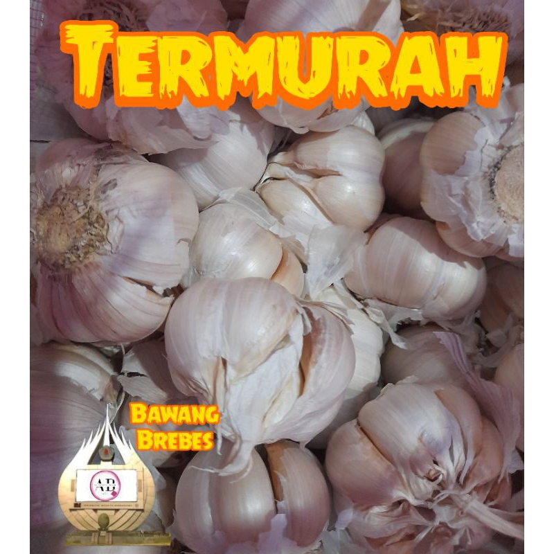 

BAWANG PUTIH 1kg | BUMBU MASAKAN