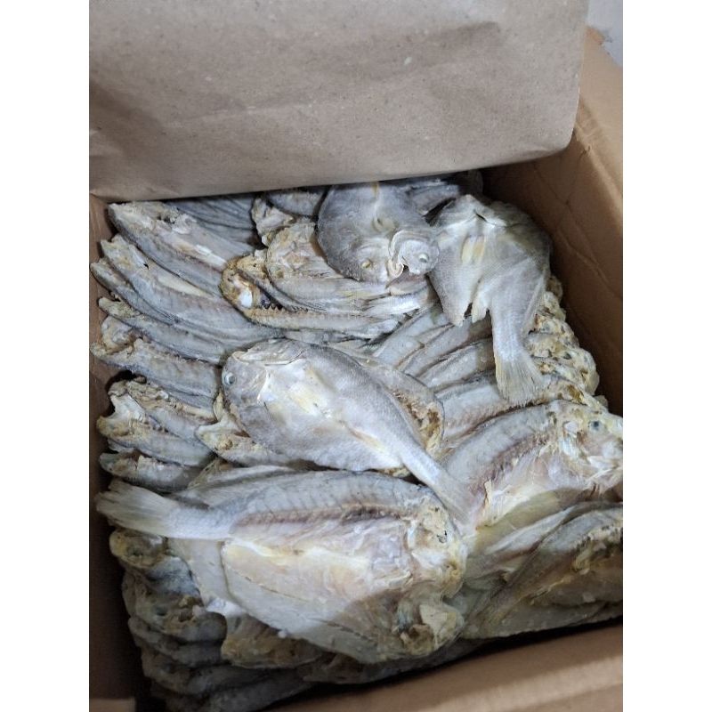 

GROSIR IKAN ASIN GULAMA SAMGE KEPALA BATU 1 KARDUS 10KG