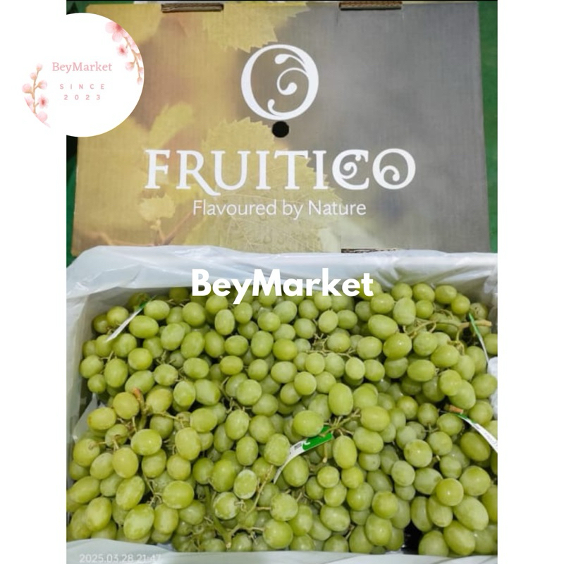 Buah Anggur Hijau Autumn Crispy 500g
