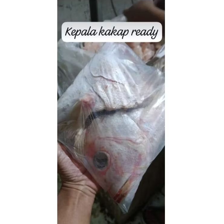 

Kepala Ikan Kakap frozen