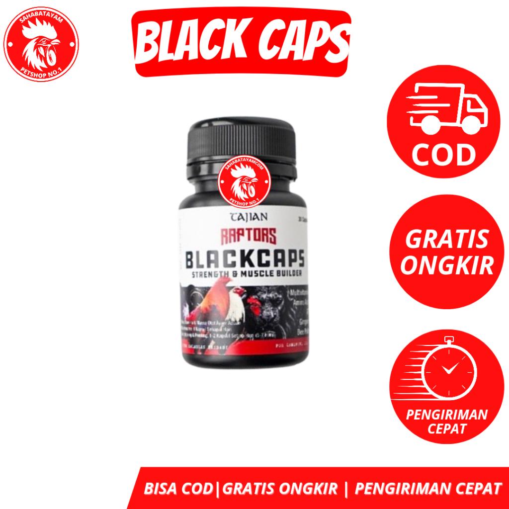 Raptors Doping Ayam Blackcaps Doping Nafas Panjang dan Memperkuat Otot Ayam