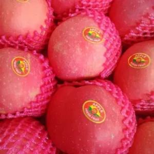 

Apel Fuji premium (500-600 gram)