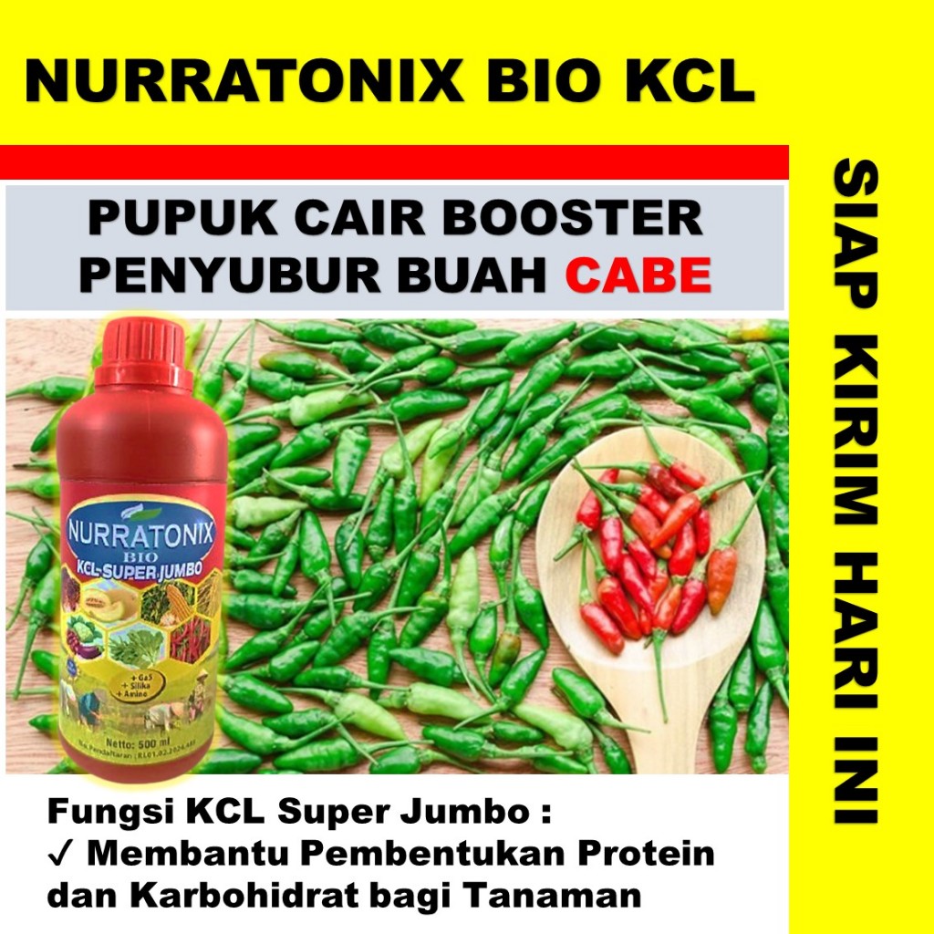 (TERMURAH) NURRATONIX BIO KCL SUPER JUMBO  pupuk pelebat tanaman cabe terampuh - pupuk cair cabe raw