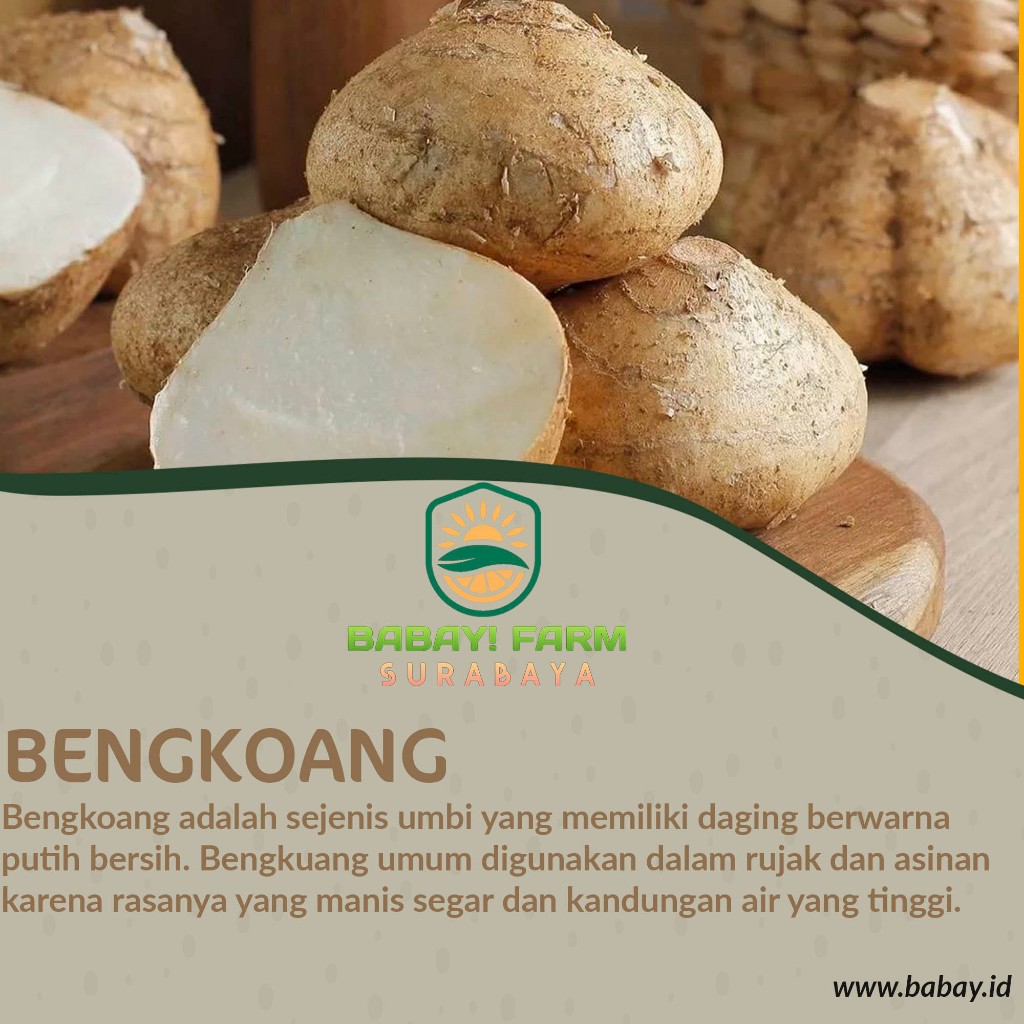 

Buah bengkoang 500 gr / bengkuang 1 kg