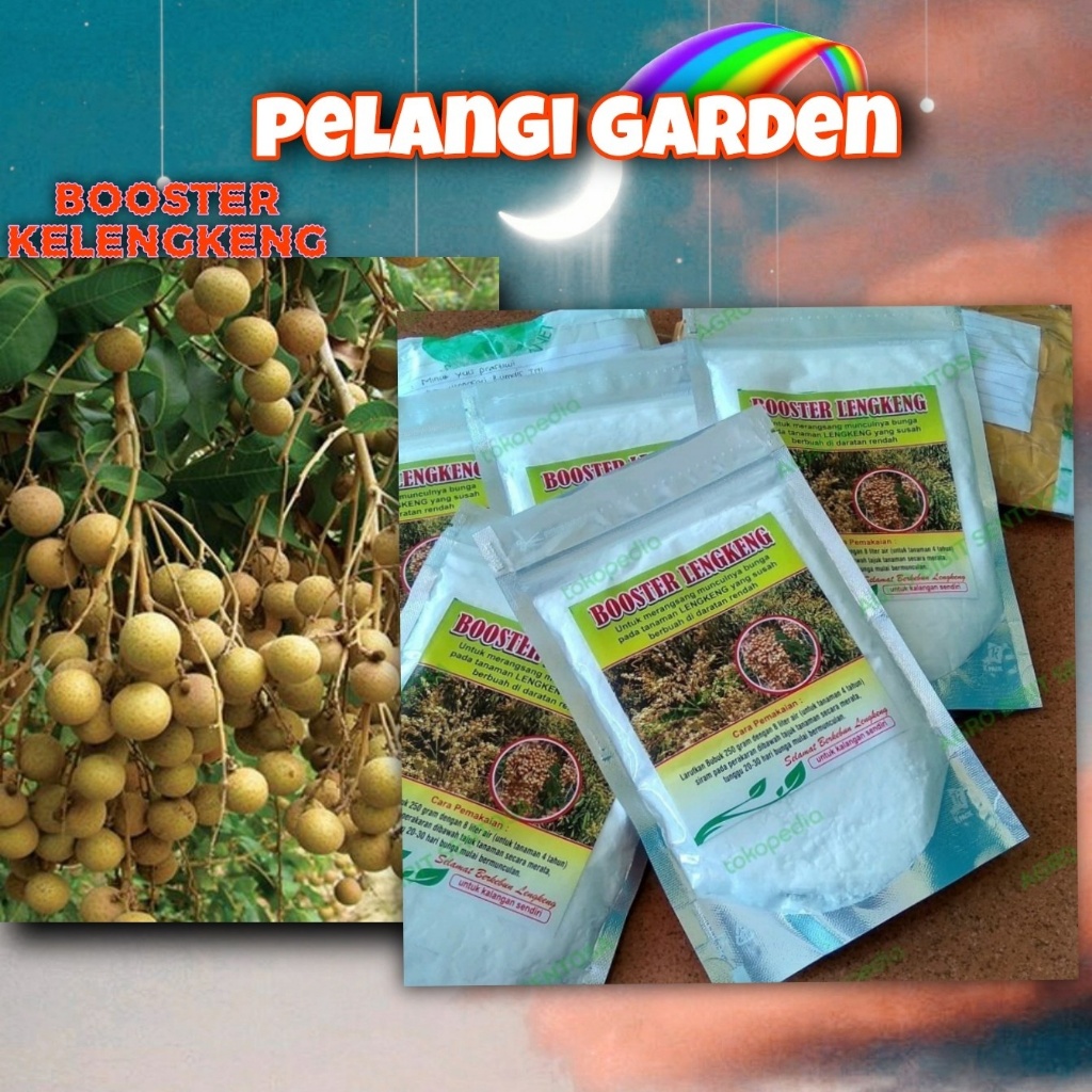 KUALITAS TERBAIK  Boster Kelengkeng Durian, Boster Kelengkeng Kcl03 Murni