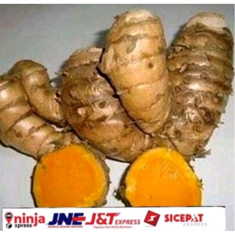 

Temulawak fressh 1kg organic