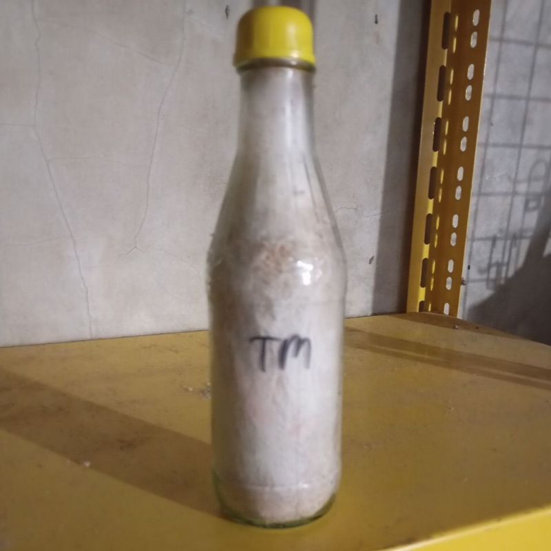 bibit jamur tiram pink f1