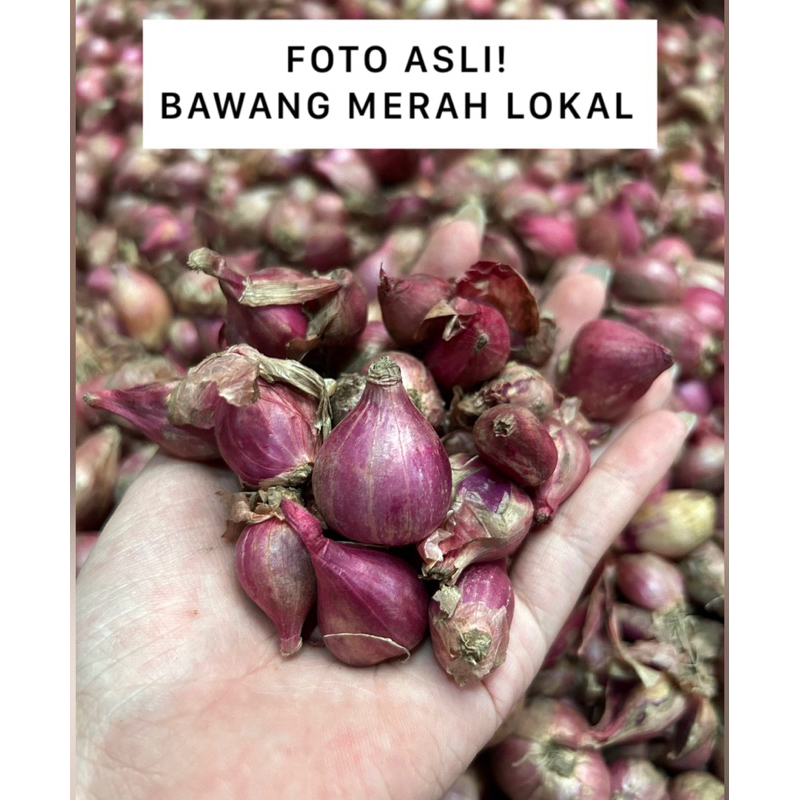 

BAWANG MERAH KERING LOKAL TERMURAH 250GR / 500GR / 1000GR