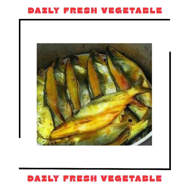 

Ikan Bandeng Presto Fresh 3 Pcs