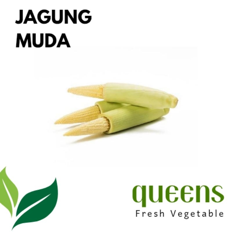 

Jagung Muda/Baby Corn