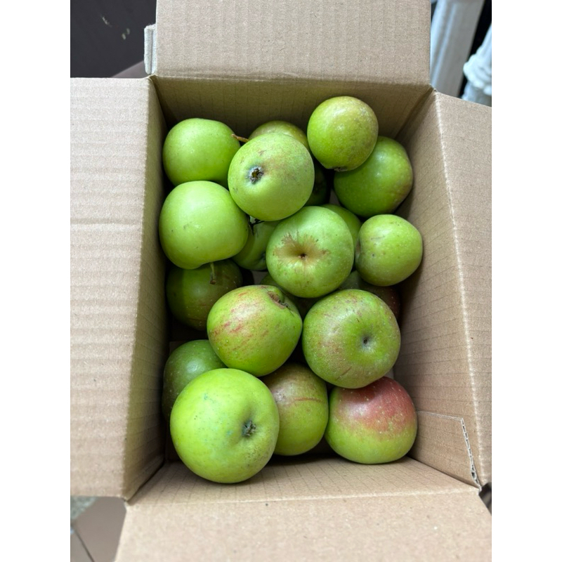 

Buah Apel mix manalagi mini & rome beuty mini 1kg