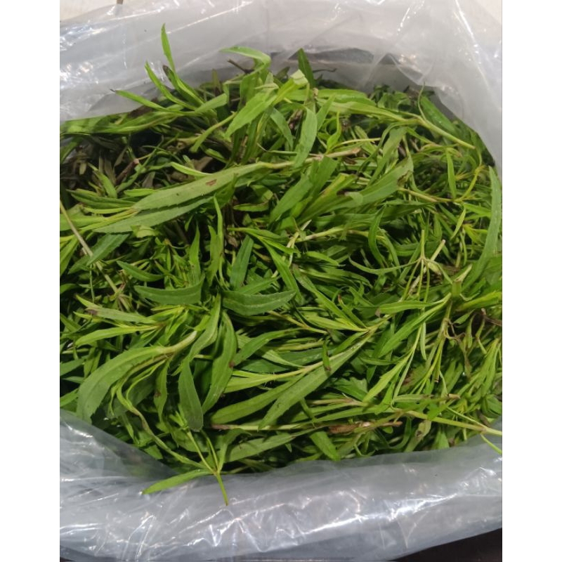 

daun taragon 1pack 25gr
