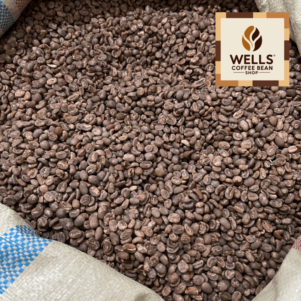 

Well's Toko Biji Kopi - Green Bean Coffee / Biji Kopi Mentah Arabika Lintong Semi Wash Grade 1 - 1 Kg
