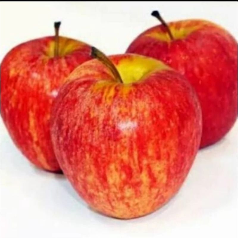 

APEL ROYAL GALA merah new zealand fresh manis empuk gurih