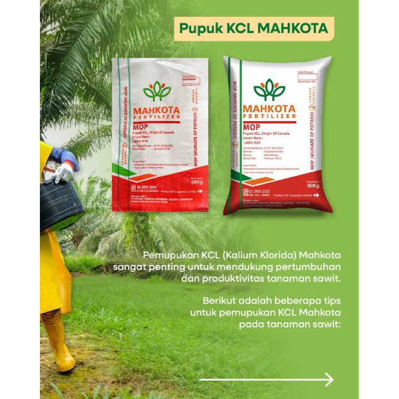 pupuk KCL Mahkota 50 kg/ KCL Mahkota Original/Asli kemasan pabrik